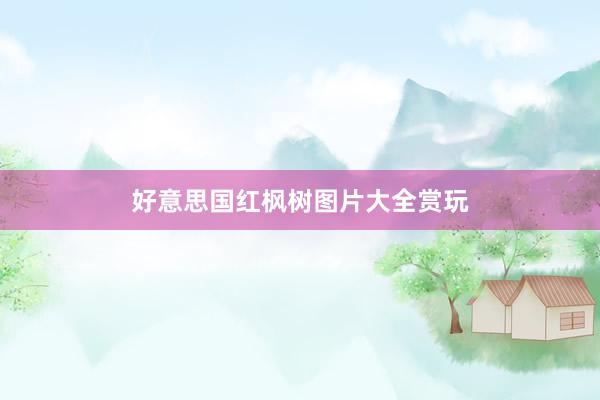 好意思国红枫树图片大全赏玩