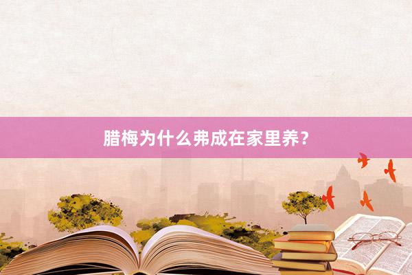 腊梅为什么弗成在家里养？